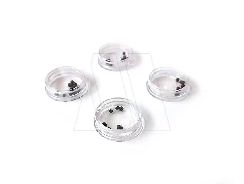 CAJA SONORA PARA SONAJERO 2,5CM X 20UN 2209.1