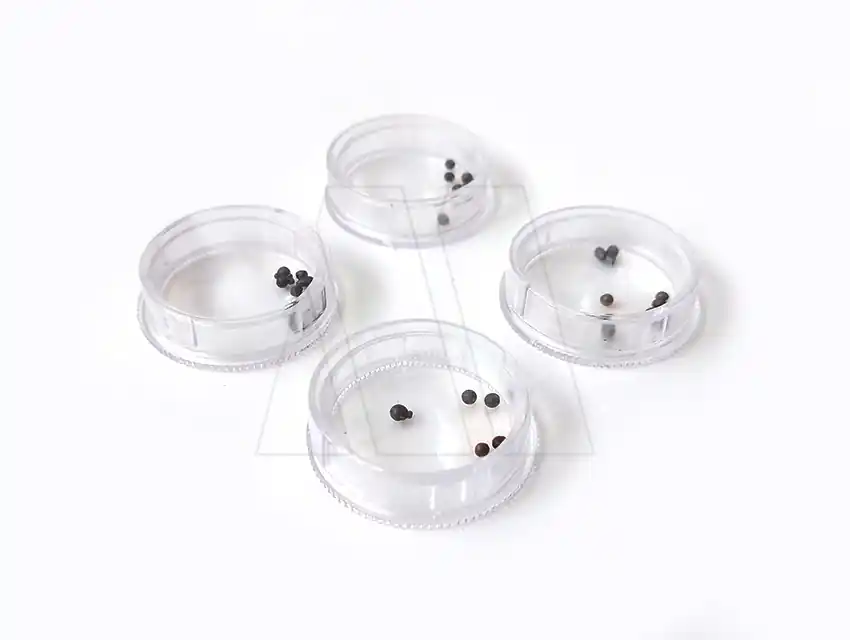 CAJA SONORA PARA SONAJERO 3,5CM X 12UN 2209.2