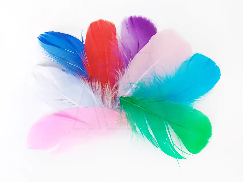 PLUMAS CHANTILLY CHICA SURTIDA CBX X 3,5GRS 2450.S
