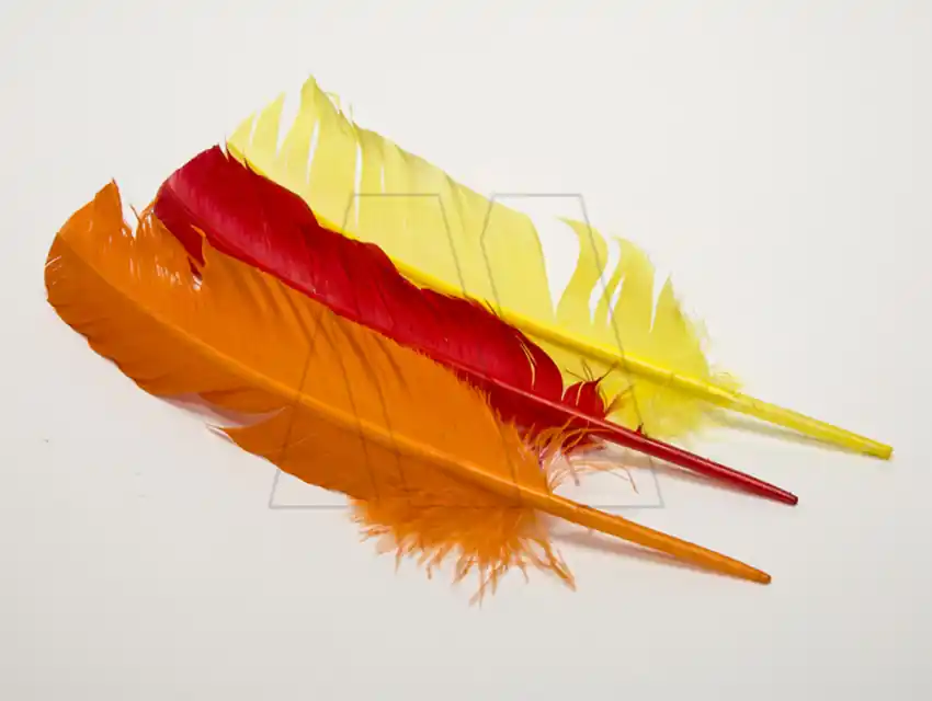 PLUMAS PARIS GRANDE X 10UN 2453