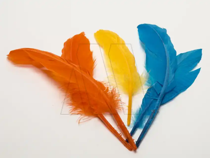 PLUMAS PARIS MEDIANA X 20GRS 2454